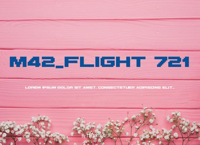 M42_FLIGHT 721 example